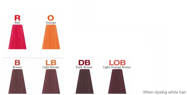ラインナップ 選一覧