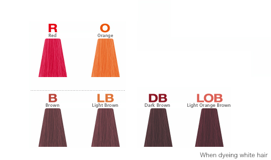 ラインナップ 選一覧