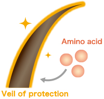 Protect hair with a veil of protection.