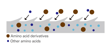 Image of damage control