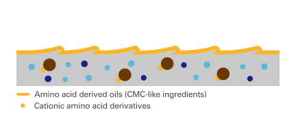 Image of damage control