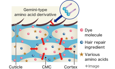 The effects of the Gemini-type amino acid derivative (new-type AHP base)
