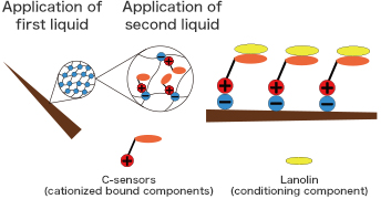 State of the hair when applying the second liquid