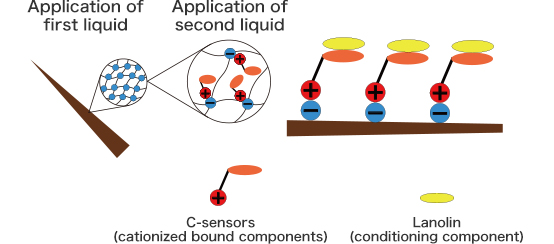 State of the hair when applying the second liquid