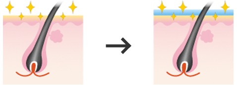 Arranges beautifully