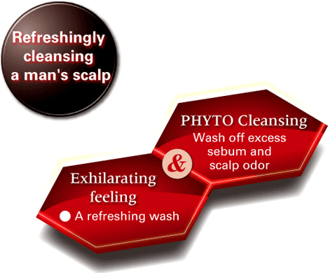 Foliage Cleansing Shampoo