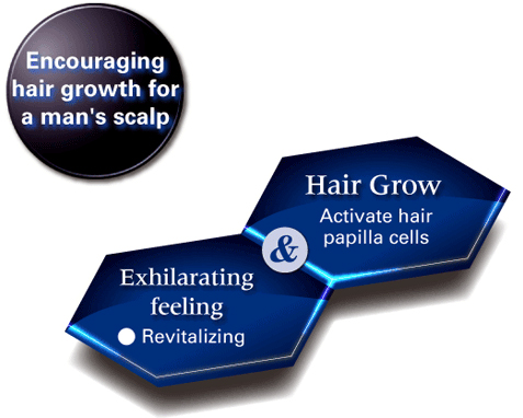 Foliage Scalp Essence GM