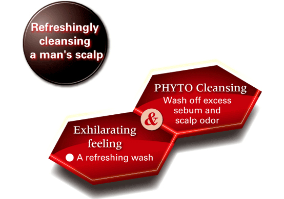 Foliage Cleansing Shampoo