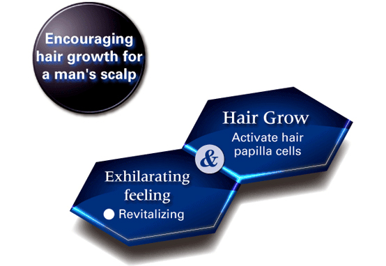 Foliage Scalp Essence GM