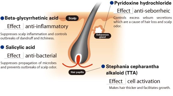 Noteworthy active ingredients