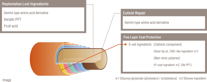Preserve the POWERDICT N finish, make hair manageable