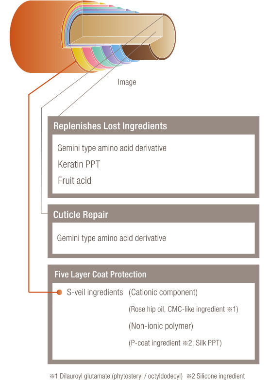 Preserve the POWERDICT N finish, make hair manageable