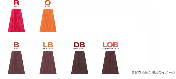 ラインナップ 選一覧