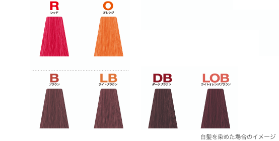 ラインナップ 選一覧