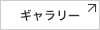 ギャラリー