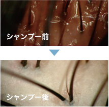 1.やさしく洗う！シッカリ落とす！