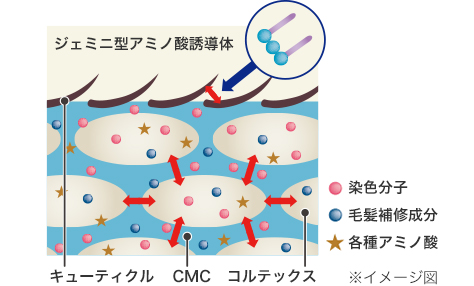  ジェミニ型アミノ酸誘導体の効果（新型AHPベース）