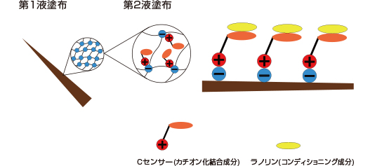 第2液塗布時の毛髪の状態