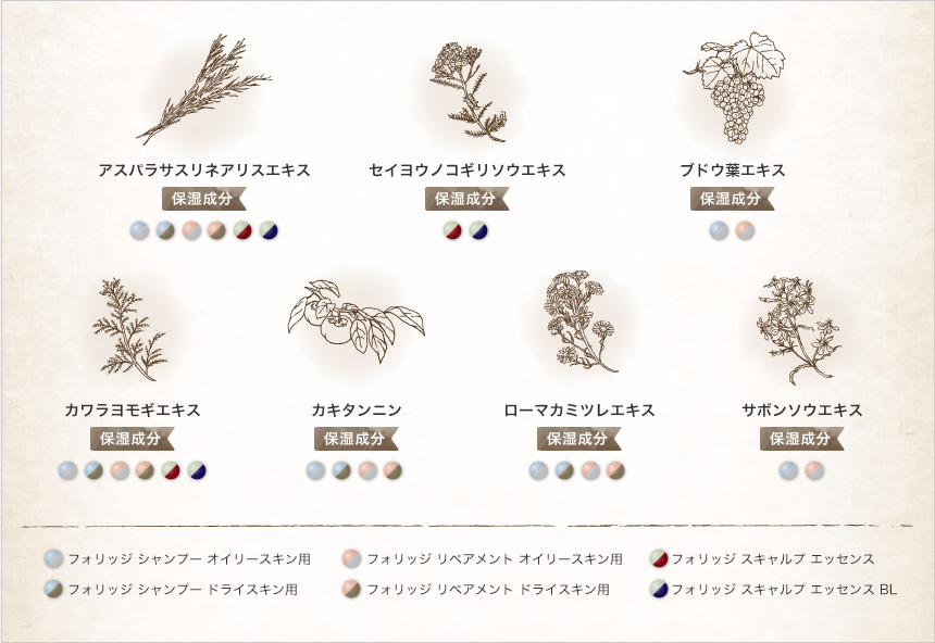 FOLIAGEはフラボノイド配合