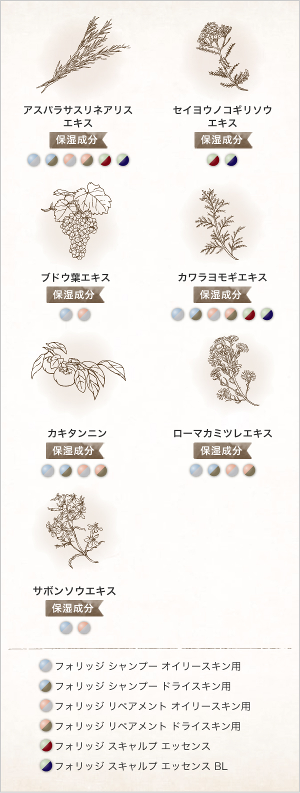 FOLIAGEはフラボノイド配合