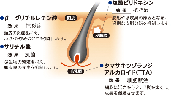 注目したい有効成分
