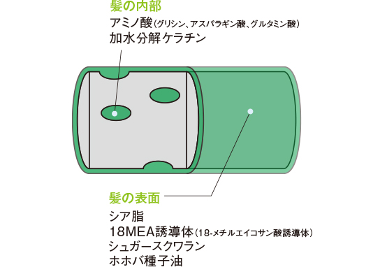 ヘアカラーのケア