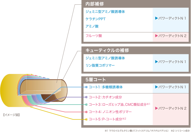 5層の強固な保護皮膜を形成することで、しっかり効果が実感できます。