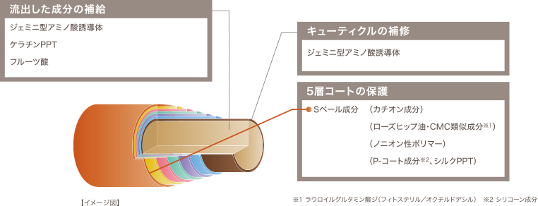 パワーディクトNの仕上がりを保ち、髪を扱いやすく