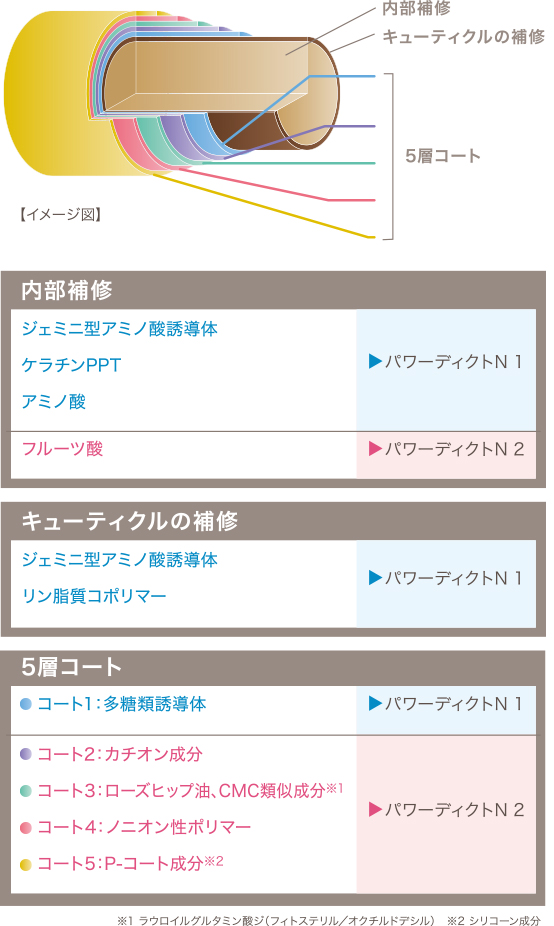 5層の強固な保護皮膜を形成することで、しっかり効果が実感できます。