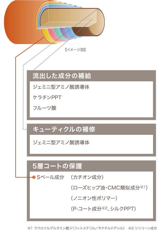 パワーディクトNの仕上がりを保ち、髪を扱いやすく