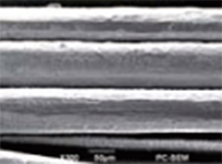 ミズワックスを毛髪に塗布した場合