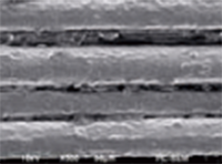 ファーバーワックスを毛髪に塗布した場合